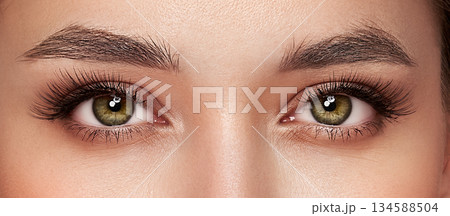 Beautiful female eyes with long eyelashes Beautiful female eyes with long eyelashes 134588504