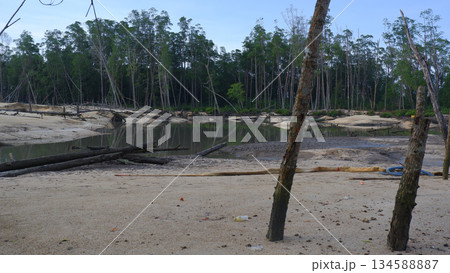 Wide Mangrove River with Mudflats and Tropical Forest Landscape Wide Mangrove River with Mudflats and Tropical Forest Landscape 134588887