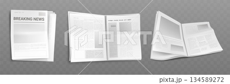 Professional newspaper template with layout Professional newspaper template with layout 134589272