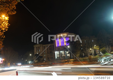 The building of the Georgian Polytechnic University 134589710