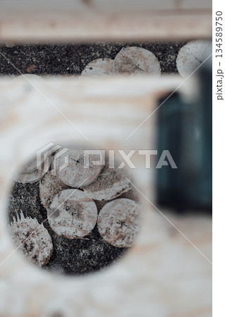 Close-up view of circular wooden slices with a textured surface, surrounded by natural elements, creating an organic and rustic atmosphere with copy space for design 134589750