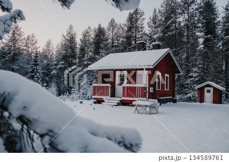 Cozy red cabin nestled in a snowy landscape surrounded by tall evergreen trees, creating a serene winter atmosphere with soft sunlight filtering through branches 134589761