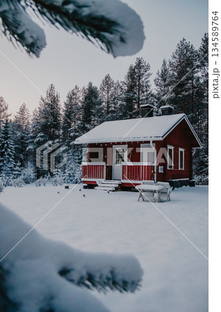 Cozy red cabin nestled in a snowy landscape surrounded by tall evergreen trees, creating a serene winter atmosphere with soft light illuminating the scene 134589764