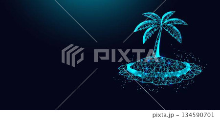 Low poly wireframe palm tree on island on dark blue background. 134590701