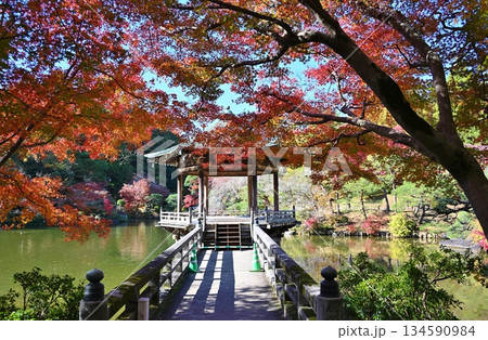 紅葉まつりの成田山公園　千葉 134590984