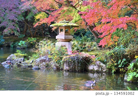 紅葉まつりの成田山公園　千葉 134591002