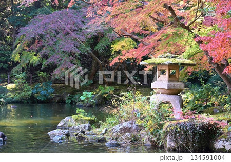 紅葉まつりの成田山公園 千葉 紅葉まつりの成田山公園 千葉 134591004