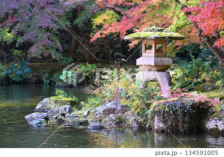 紅葉まつりの成田山公園 千葉 紅葉まつりの成田山公園 千葉 134591005