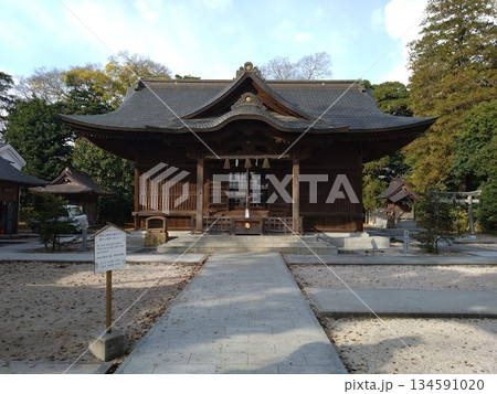 島根県松江市！松江神社の拝殿 134591020