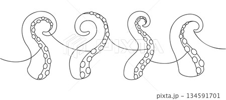 Tentacles line art illustration. Nautical line art design with suction cups for tattoos, marine patterns, and fantasy artworks 134591701