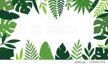 Tropical botanical frame with monstera, palm, and banana leaves. Vector border for invitations and designs Tropical botanical frame with monstera, palm, and banana leaves. Vector border for invitations and designs 134591791
