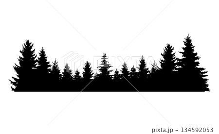 Fir trees silhouette. Coniferous spruce horizontal background pattern, black evergreen woods vector illustration. Beautiful hand drawn panorama of coniferous forest 134592053