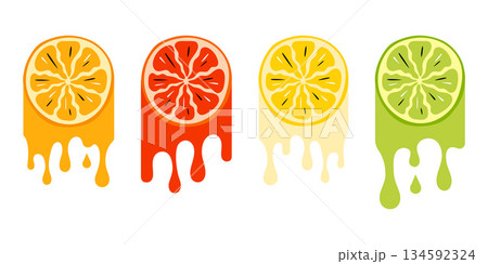 Citrus Fruit Set with Dripping Hand-Drawn Lemon, Lime and Grapefruit in a vector illustration 134592324