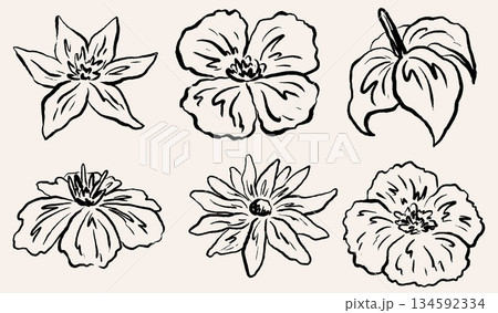 3406_flowers_crayon 134592334