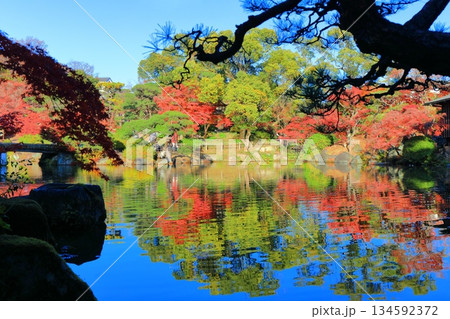 【兵庫県】晴天の相楽園の紅葉 【兵庫県】晴天の相楽園の紅葉 134592372