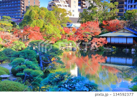 【兵庫県】晴天の相楽園の紅葉 134592377