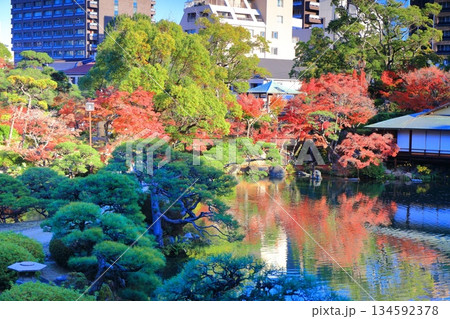 【兵庫県】晴天の相楽園の紅葉 【兵庫県】晴天の相楽園の紅葉 134592378