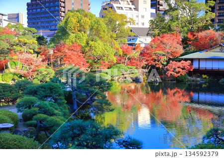 【兵庫県】晴天の相楽園の紅葉 134592379