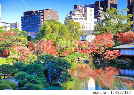 【兵庫県】晴天の相楽園の紅葉 134592380