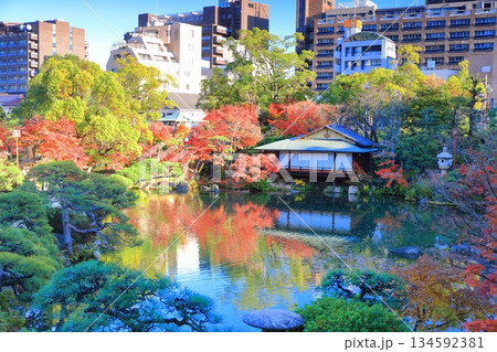 【兵庫県】晴天の相楽園の紅葉 134592381