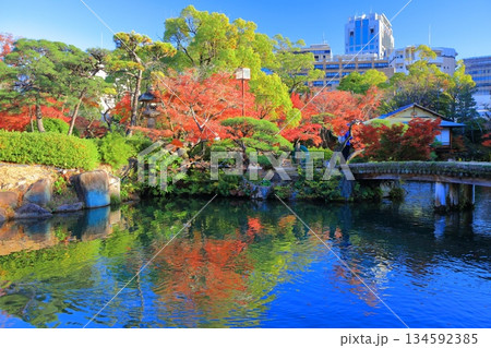 【兵庫県】晴天の相楽園の紅葉 【兵庫県】晴天の相楽園の紅葉 134592385