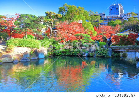【兵庫県】晴天の相楽園の紅葉 134592387