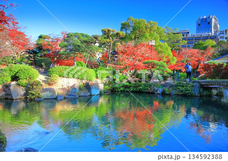 【兵庫県】晴天の相楽園の紅葉 134592388