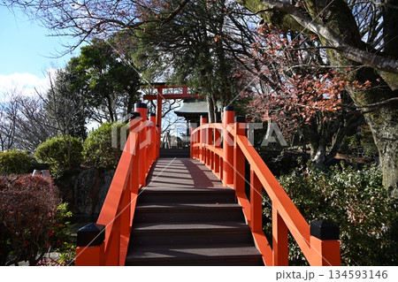冬の朝の葛城神社 静岡 冬の朝の葛城神社 静岡 134593146