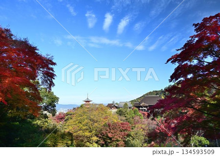 京都東山 紅葉が色ずく 世界遺産 清水寺 京都東山 紅葉が色ずく 世界遺産 清水寺 134593509