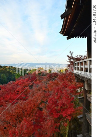 京都東山 紅葉が色ずく 世界遺産 清水寺 京都東山 紅葉が色ずく 世界遺産 清水寺 134593730