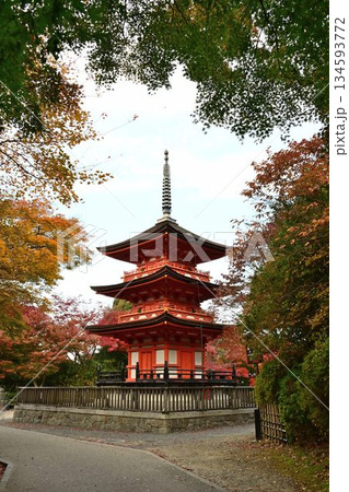 京都東山 紅葉が色ずく 世界遺産 清水寺 京都東山 紅葉が色ずく 世界遺産 清水寺 134593772