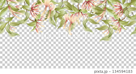 Spring garden flowers watercolor seamless border. Honeysuckle vine branch repeat upper banner. Pastel green, beige and pink climbing flowers with liana plant for summer blooming floral designs Spring garden flowers watercolor seamless border. Honeysuckle vine branch repeat upper banner. Pastel green, beige and pink climbing flowers with liana plant for summer blooming floral designs 134594183