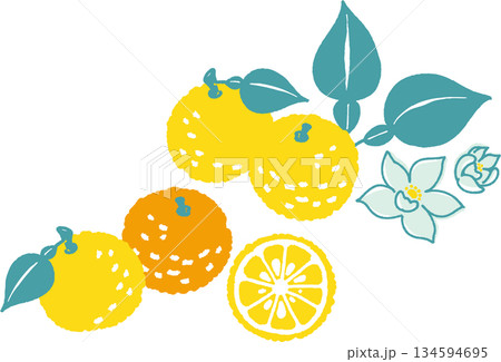 レトロ風のシンプルでポップな柚子のイラスト 134594695