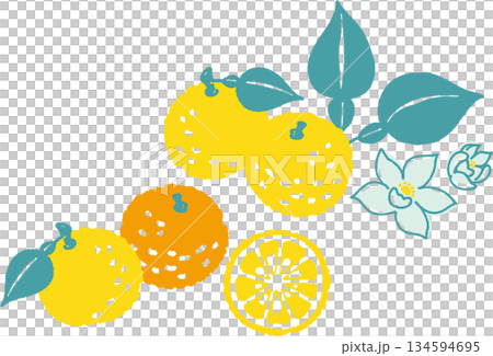 一幅簡潔而流行的復古柚子插畫 134594695