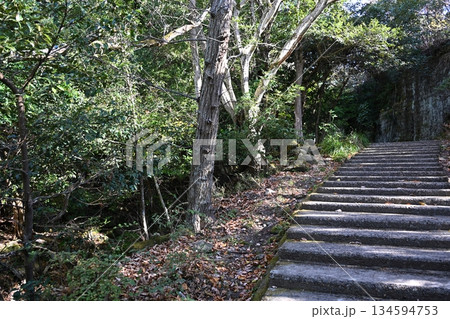 鋸山山頂に続く階段　千葉 134594753