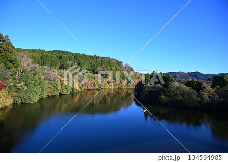 藤林大橋からの亀山湖の風景 千葉 藤林大橋からの亀山湖の風景 千葉 134594985