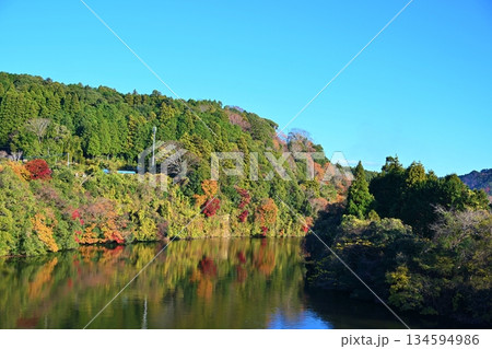 藤林大橋からの亀山湖の風景 千葉 藤林大橋からの亀山湖の風景 千葉 134594986