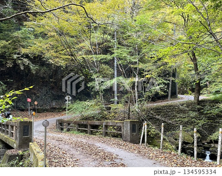 峠道 134595334