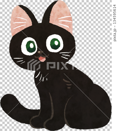 Black cat Black cat 134595614