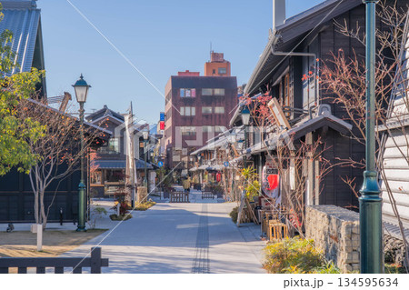 小江戸甲府花小路【山梨県甲府市】 小江戸甲府花小路【山梨県甲府市】 134595634