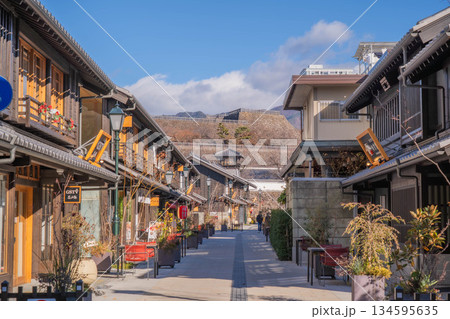 小江戸甲府花小路【山梨県甲府市】 小江戸甲府花小路【山梨県甲府市】 134595635