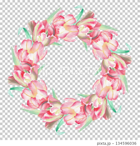 Wreath of pink tulips. Watercolor illustration. For fabric, wallpaper, packing paper, greeting cards, design, decoration and illustration. 134596036