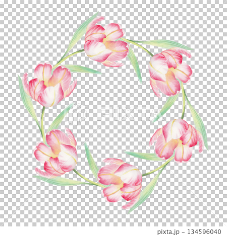 Wreath of tulips. Watercolor illustration. For fabric, wallpaper, packing paper, greeting cards, design, decoration and illustration. 134596040
