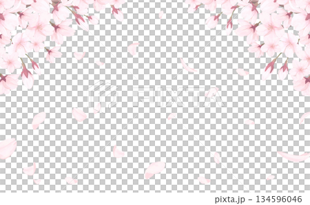 桜_手描き_花びら背景_横_桜と舞う花びら 134596046