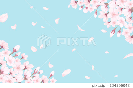 桜_手描き_花びら背景_横_桜上下と舞う花びらと青空 134596048