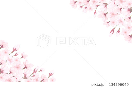 桜_手描き_花びら背景_横_桜上下斜め 桜_手描き_花びら背景_横_桜上下斜め 134596049