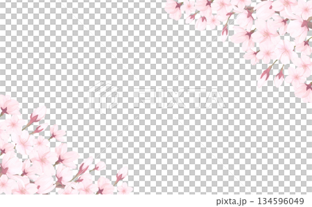 桜_手描き_花びら背景_横_桜上下斜め 桜_手描き_花びら背景_横_桜上下斜め 134596049