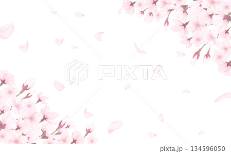 桜_手描き_花びら背景_横_桜上下斜めと舞う花びら 134596050