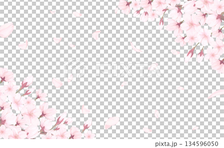 桜_手描き_花びら背景_横_桜上下斜めと舞う花びら 134596050