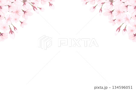 桜_手描き_花びら背景_横 桜_手描き_花びら背景_横 134596051